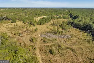 874 Mistletoe Rd, Abbeville, GA 31001 - Photo 57