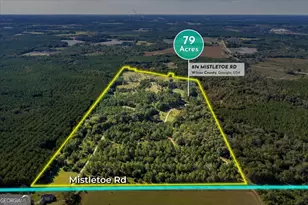 874 Mistletoe Rd, Abbeville, GA 31001 - Photo 5