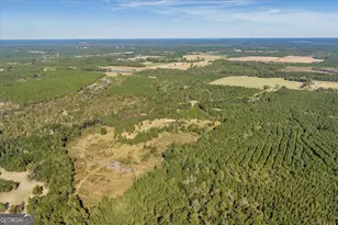 874 Mistletoe Rd, Abbeville, GA 31001 - Photo 51