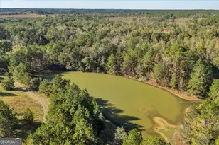 874 Mistletoe Rd, Abbeville, GA 31001 - Photo 47
