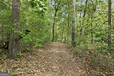 257 Lake Place Drive, Lavonia, GA 30553 - Photo 19