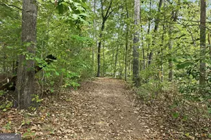 257 Lake Pl Dr, Lavonia, GA 30553 - Photo 19