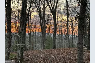 195 Wolf Creek Mountain Road, Mineral Bluff, GA 30559 - Photo 3