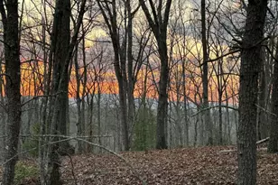 195 Wolf Creek Mountain Rd, Mineral Bluff, GA 30559 - Photo 3