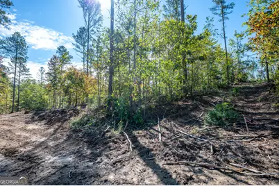 3805 Hwy 140 NE, Rydal, GA 30171 - Photo 3