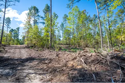 3805 Hwy 140 NE, Rydal, GA 30171 - Photo 7