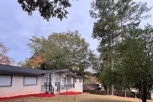 736 Valley Creek Dr, Stone Mountain, GA 30083 - Photo 3