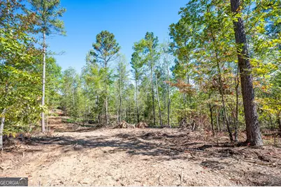 3797 Hwy 140 NE, Rydal, GA 30171 - Photo 7