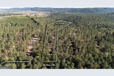 3797 Hwy 140 NE, Rydal, GA 30171 - Photo 1