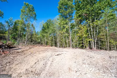 3793 Hwy 140 NE, Rydal, GA 30171 - Photo 11