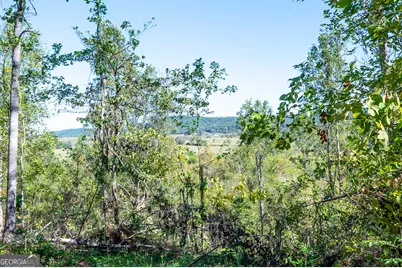 3793 Hwy 140 NE, Rydal, GA 30171 - Photo 21