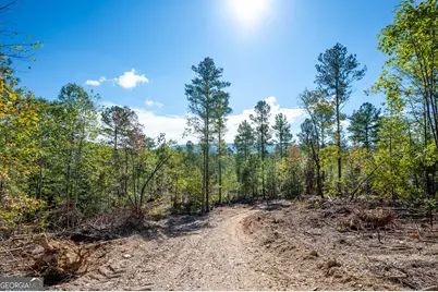 3793 Hwy 140 NE, Rydal, GA 30171 - Photo 15