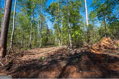 3793 Hwy 140 NE, Rydal, GA 30171 - Photo 7