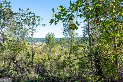 3793 Hwy 140 NE, Rydal, GA 30171 - Photo 23