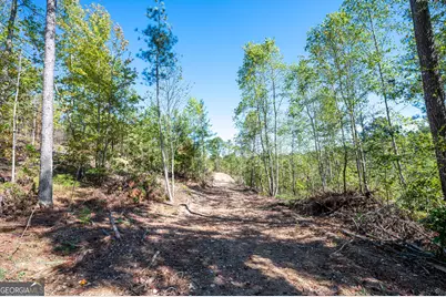 3793 Hwy 140 NE, Rydal, GA 30171 - Photo 17