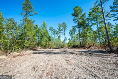 3793 Hwy 140 NE, Rydal, GA 30171 - Photo 3