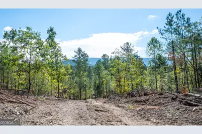 3793 Hwy 140 NE, Rydal, GA 30171 - Photo 13