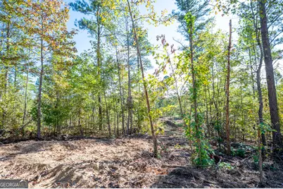 3793 Hwy 140 NE, Rydal, GA 30171 - Photo 9