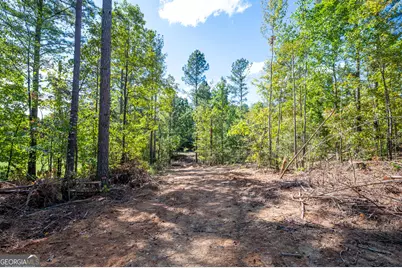 3809 Hwy 140 NE, Rydal, GA 30171 - Photo 9