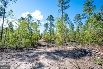 3809 Hwy 140 NE, Rydal, GA 30171 - Photo 5