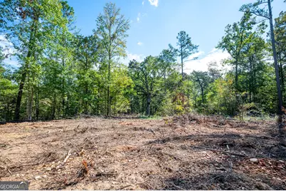 3809 Hwy 140 NE, Rydal, GA 30171 - Photo 11