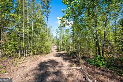 3809 Hwy 140 NE, Rydal, GA 30171 - Photo 13