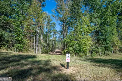 3859 Hwy 140 NE, Rydal, GA 30171 - Photo 7