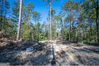 3859 Hwy 140 NE, Rydal, GA 30171 - Photo 5