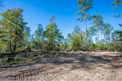 3863 Hwy 140 NE, Rydal, GA 30171 - Photo 9