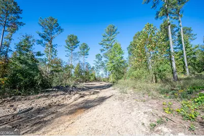 3863 Hwy 140 NE, Rydal, GA 30171 - Photo 3