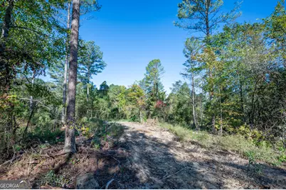 3863 Hwy 140 NE, Rydal, GA 30171 - Photo 7