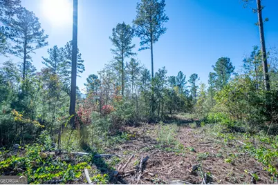 3867 Hwy 140 NE, Rydal, GA 30171 - Photo 7