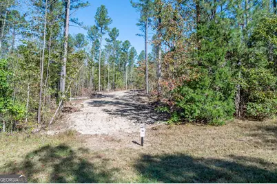 3867 Hwy 140 NE, Rydal, GA 30171 - Photo 11