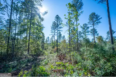 3867 Hwy 140 NE, Rydal, GA 30171 - Photo 9