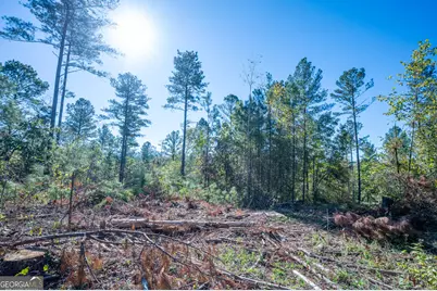3867 Hwy 140 NE, Rydal, GA 30171 - Photo 5