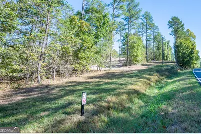 3871 Hwy 140 NE, Rydal, GA 30171 - Photo 11