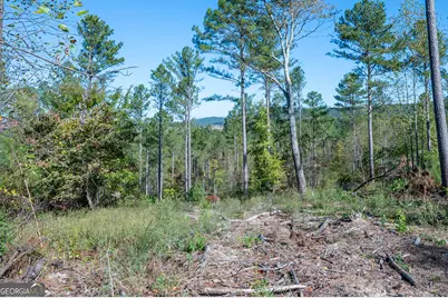 3871 Hwy 140 NE, Rydal, GA 30171 - Photo 5