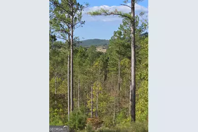 3871 Hwy 140 NE, Rydal, GA 30171 - Photo 3