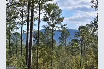 3871 Hwy 140 NE, Rydal, GA 30171 - Photo 1