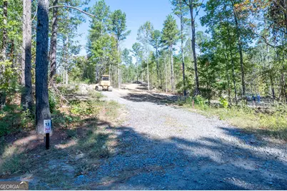 3879 Hwy 140 NE, Rydal, GA 30171 - Photo 7