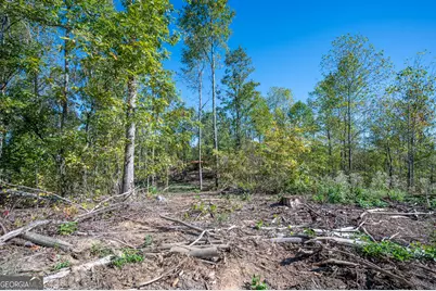 3883 Hwy 140 NE, Rydal, GA 30171 - Photo 3