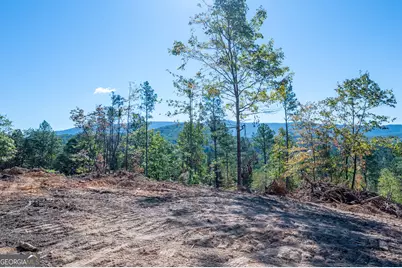 3883 Hwy 140 NE, Rydal, GA 30171 - Photo 5