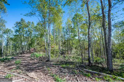 3883 Hwy 140 NE, Rydal, GA 30171 - Photo 7