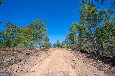 3887 Hwy 140 NE, Rydal, GA 30171 - Photo 9