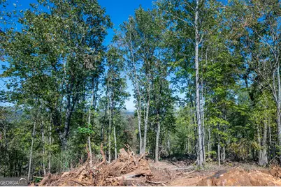 3887 Hwy 140 NE, Rydal, GA 30171 - Photo 3