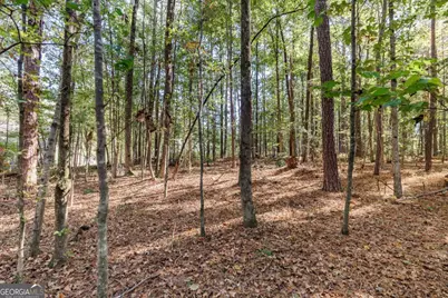 181 Summerplace Drive, Winterville, GA 30683 - Photo 49