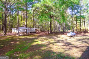1424 Al Roberts Rd, Senoia, GA 30276 - Photo 43