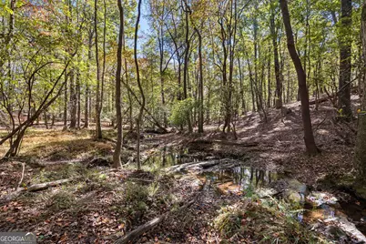 6535 Ridgeway Road, Franklin, GA 30217 - Photo 39