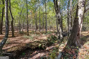 6535 Ridgeway Rd, Franklin, GA 30217 - Photo 37