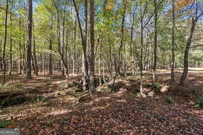 6535 Ridgeway Road, Franklin, GA 30217 - Photo 35